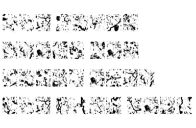 Dried Earth Glyph by GraphicsBam Fonts — Dingbats Font — thumbnail 4