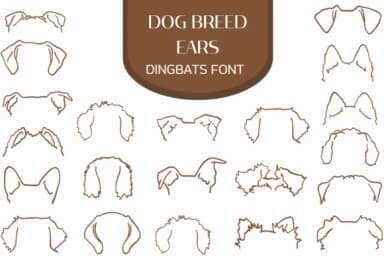 Dripping Paint Borders by Heartcraft Atelier — Dingbats Font — thumbnail 8