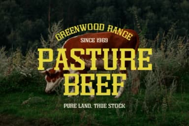 Dupreh Forge by Gracetypestudio — Slab Serif Font — thumbnail 5