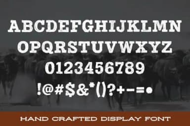 Dusty Stampede by stompstock — Slab Serif Font — thumbnail 2