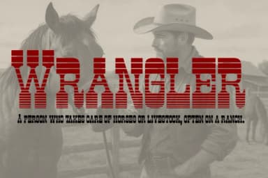 Earnestly by Artisans — Slab Serif Font — thumbnail 4