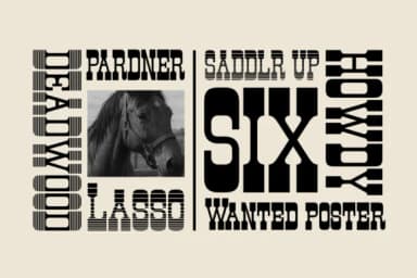 Earnestly by Artisans — Slab Serif Font — thumbnail 6