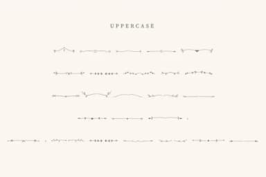 Easter Divider by CraftedType Studio — Dingbats Font — thumbnail 2