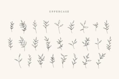 Easter Leaves by CraftedType Studio — Dingbats Font — thumbnail 2