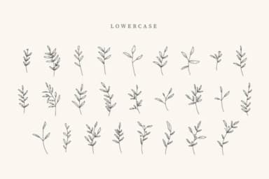 Easter Leaves by CraftedType Studio — Dingbats Font — thumbnail 3