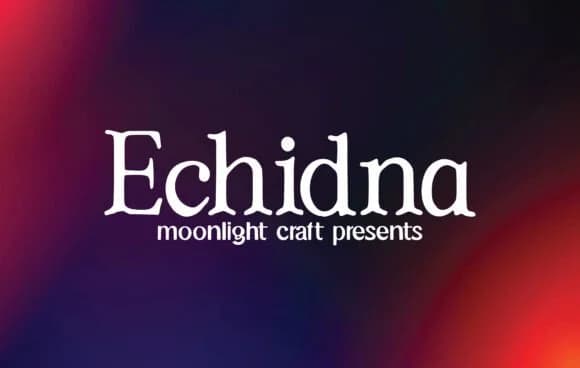 Echidna by moonlight craft — Slab Serif Font