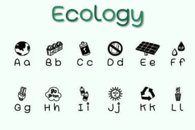 Ecology by Chonada — Dingbats Font — thumbnail 2