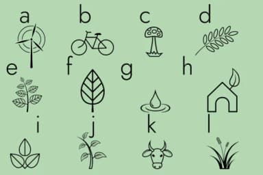 Ecology and Environment Protection by Minimalistartstudio — Dingbats Font — thumbnail 5