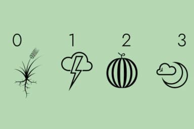 Ecology and Environment Protection by Minimalistartstudio — Dingbats Font — thumbnail 8