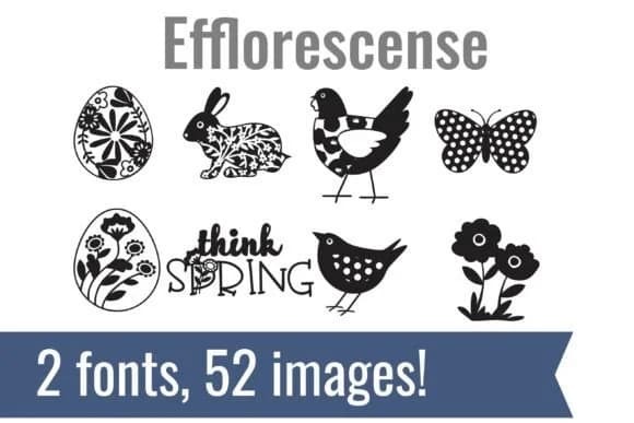 Efflorescense Dingbats by Illustration Ink — Dingbats Font