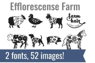 Efflorescense Dingbats by Illustration Ink — Dingbats Font — thumbnail 2