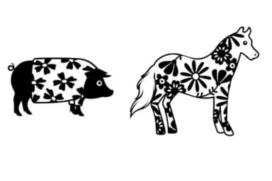 Efflorescense Dingbats by Illustration Ink — Dingbats Font — thumbnail 5