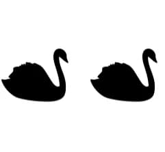 Elegant Swan Set by Heartcraft Atelier — Dingbats Font — thumbnail 8