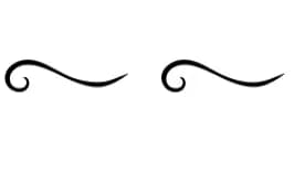 Elegant Swirl Dividers by Heartcraft Atelier — Dingbats Font — thumbnail 8