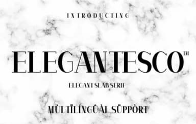 Elegantesco by Minimalistartstudio — Slab Serif Font — thumbnail 1