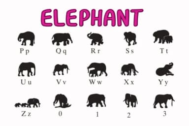 Elephant by Nongyao — Dingbats Font — thumbnail 3