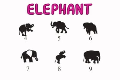Elephant by Nongyao — Dingbats Font — thumbnail 4