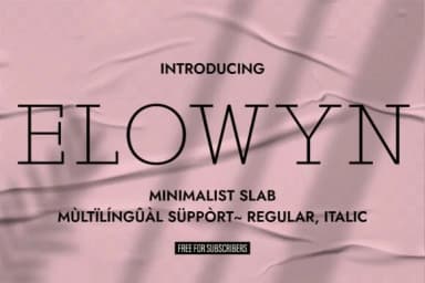 Elowyn by Minimalistartstudio — Slab Serif Font — thumbnail 1