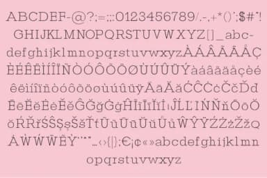 Elowyn by Minimalistartstudio — Slab Serif Font — thumbnail 4