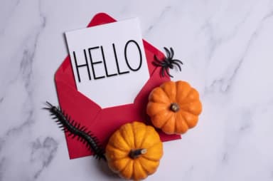 Embroidery by Creatype Designer — Slab Serif Font — thumbnail 4