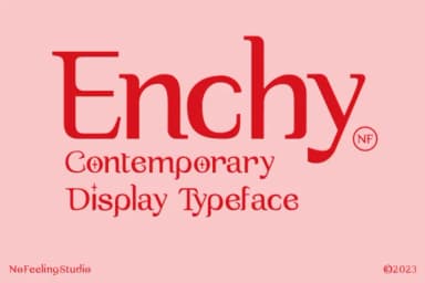 Enchy by No Feeling Studio — Slab Serif Font — thumbnail 1