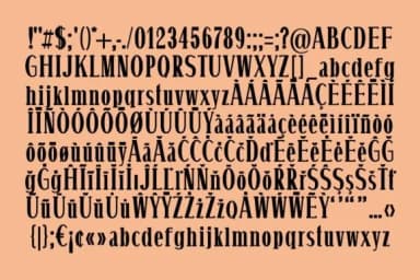 Envie by Minimalistartstudio — Slab Serif Font — thumbnail 4