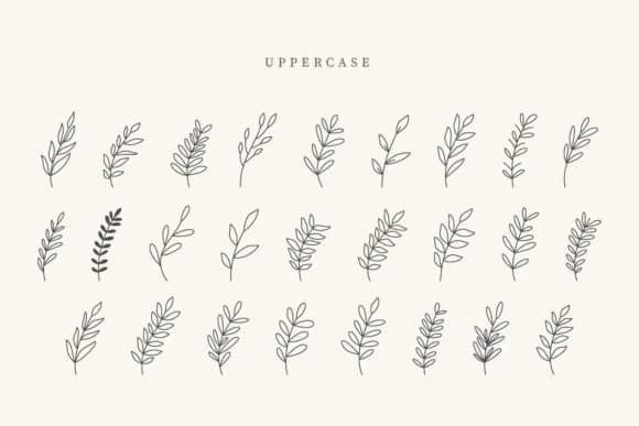 Estero Leaves by CraftedType Studio — Dingbats Font