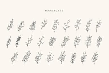 Estero Leaves by CraftedType Studio — Dingbats Font — thumbnail 1