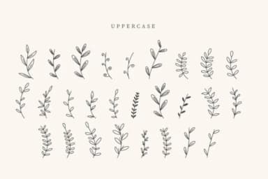 Estero Leaves by CraftedType Studio — Dingbats Font — thumbnail 2