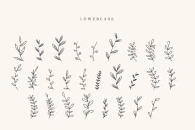 Estero Leaves by CraftedType Studio — Dingbats Font — thumbnail 3