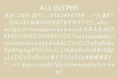 Fabia by Minimalistartstudio — Slab Serif Font — thumbnail 6