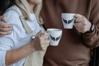 Fairies Wing by MOMAT THIRTYONE — Dingbats Font — thumbnail 5