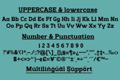 Faizer by Differentialtype — Slab Serif Font — thumbnail 5
