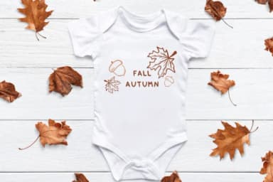 Fall Autumn by Bee piyanuch — Dingbats Font — thumbnail 3