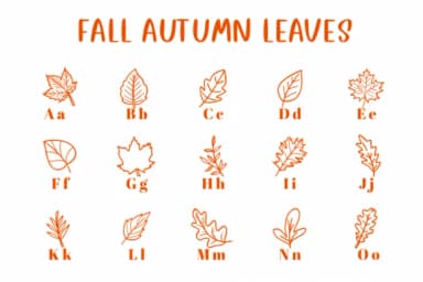 Fall Autumn Leaves by CHANOK — Dingbats Font — thumbnail 2
