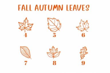 Fall Autumn Leaves by CHANOK — Dingbats Font — thumbnail 4