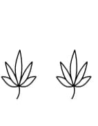 Fall by DesignOverdose — Dingbats Font — thumbnail 5