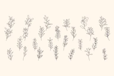 Falleaf by Intype Studio — Dingbats Font — thumbnail 2