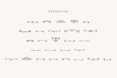 Fancy Divider by CraftedType Studio — Dingbats Font — thumbnail 2