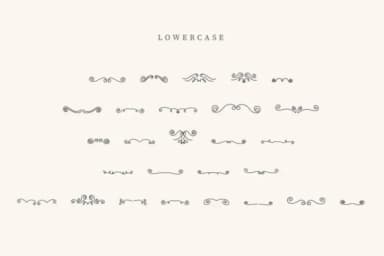 Fancy Divider by CraftedType Studio — Dingbats Font — thumbnail 3