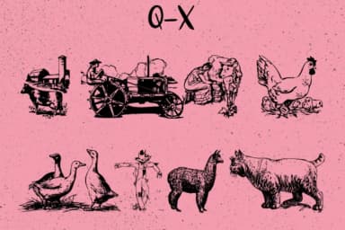 Farm by Minimalistartstudio — Dingbats Font — thumbnail 4