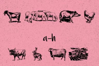 Farm by Minimalistartstudio — Dingbats Font — thumbnail 6