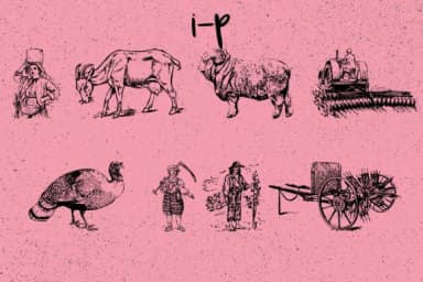 Farm by Minimalistartstudio — Dingbats Font — thumbnail 7