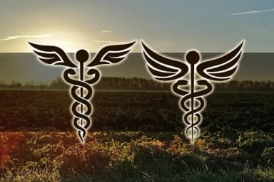 Farmacy by vladimirnikolic — Dingbats Font — thumbnail 3