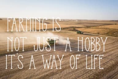 Farmers Made by Chamsae Studio — Slab Serif Font — thumbnail 2