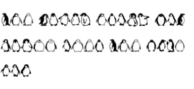 Fat Penguin by Sontaya — Dingbats Font — thumbnail 8