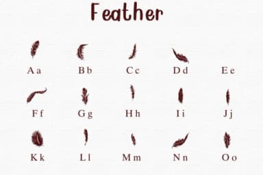 Feather by Nongyao — Dingbats Font — thumbnail 2