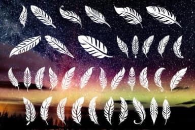 Feather Whisper by MOMAT THIRTYONE — Dingbats Font — thumbnail 2