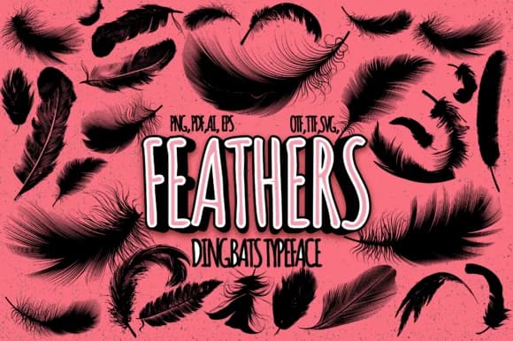 Feathers by Minimalistartstudio — Dingbats Font