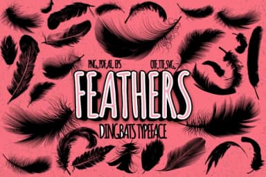 Feathers by Minimalistartstudio — Dingbats Font — thumbnail 1